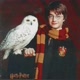 🦉Hedwig Potter🦉