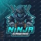Ninja X 195