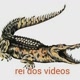 Rei dos videos Do Kwai