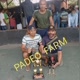 （ PBB） Padeo