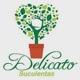 Suculentas Delicado