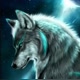 Blue Wolf🐺.