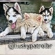 huskypatrolbr