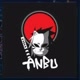 Amier ANBU