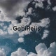 GabiReiis