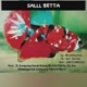Sall Betta