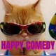 Happy Comedy