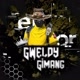 GWELDI_