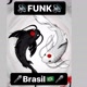 🎤Funk Brasil🔊🎵🎼🎤