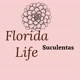 Florida life suculentas