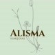 AlismaSemijoias oficial
