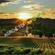 ＠Agro é Top