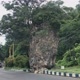 PTP banyuwangi