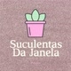 Suculentas Da Janela