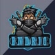 Endric gaming