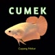 Cupang Mekar （CUMEK）