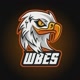 WBeS Esport