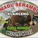 madu klanceng Serambi