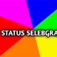 STATUS SELEBGRAM