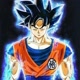 Goku super shayan