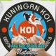 Kuningan Koi734