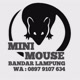 ＠mini_mouse