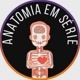 ＠anatomiaemserie