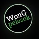 Wong-Pelosok