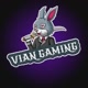VIAN GAMING777
