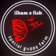 Ilham z fish