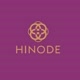 consultores hinode0