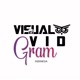 VISUALVIDGRAM