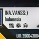 INA VANSS