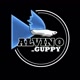 alvino Guppy Farm