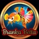 Branka Bettafish