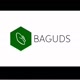 baguds.id