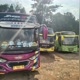 Bus Pariwisata Bumexs
