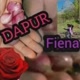 d*FIENA
