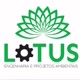 Lótus engenharia