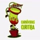 Carnivoras Curitiba