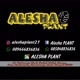 ALESHA PLANT