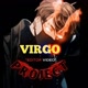 VIRGO PROJECT