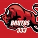 BRUTOS 333