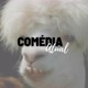 Comédia atual