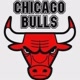 Chicago Bulls