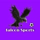 Falcon Sports