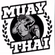 muaythai technic