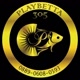 playbetta305