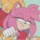 Amy The Hedgehog