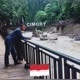 01Indonesia NKRI